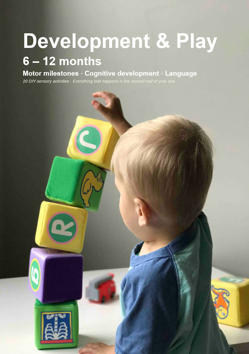 Development and play guide 6-12 months — milestones PDF NidoGuides