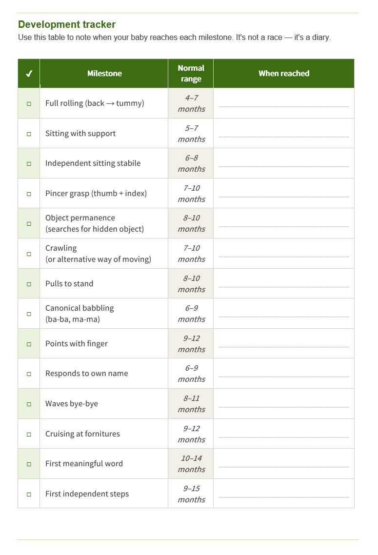 Development & Play Guide — 6–12 months