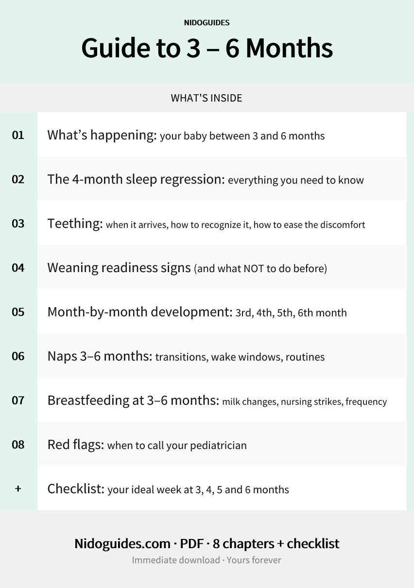 The 3–6 Month Baby Guide