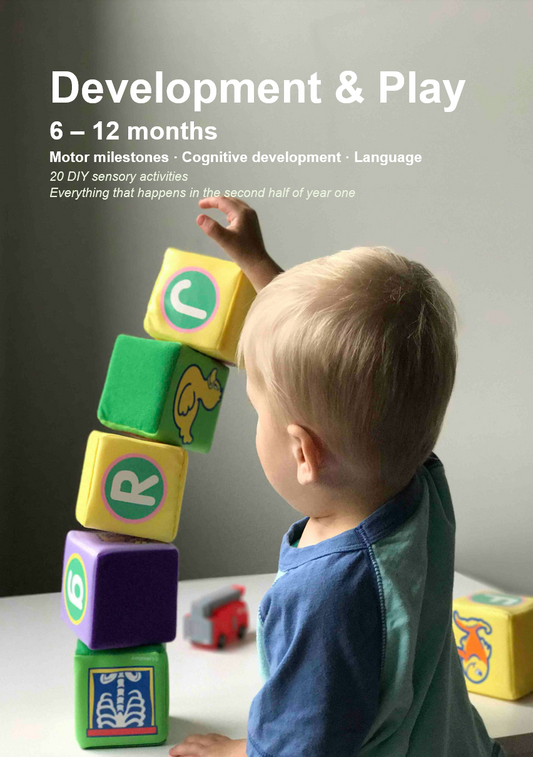 Development & Play Guide — 6–12 months