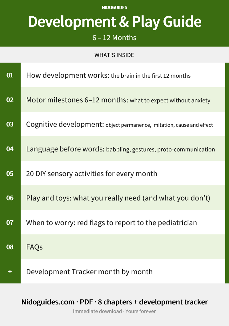 Development & Play Guide — 6–12 months