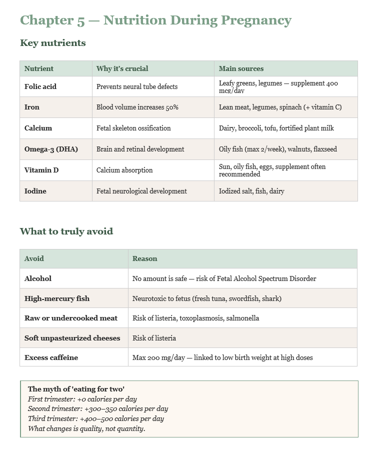 Pregnancy & Pre-Birth Guide