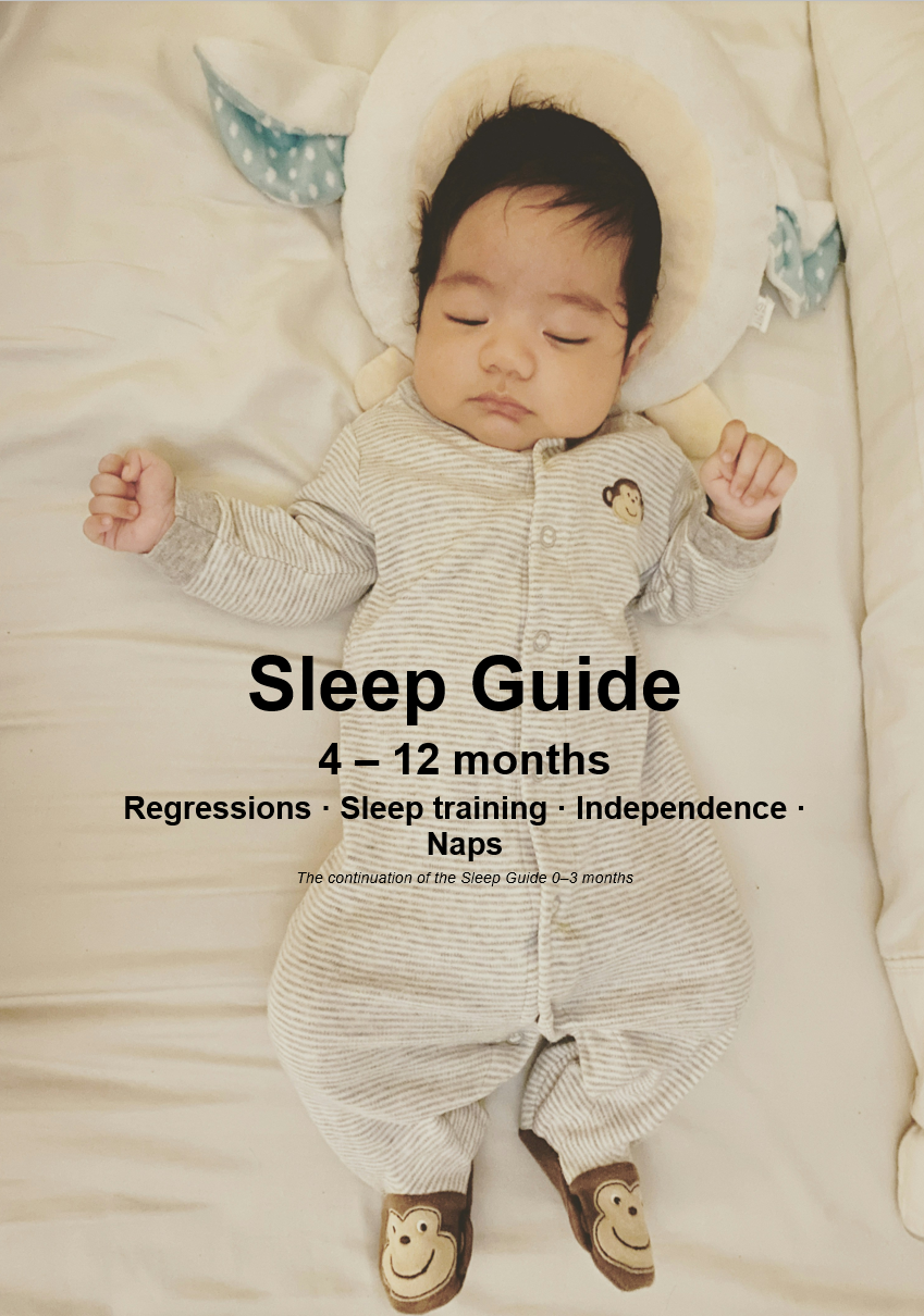 Baby sleep guide 4-12 months — regressions and sleep training PDF NidoGuides